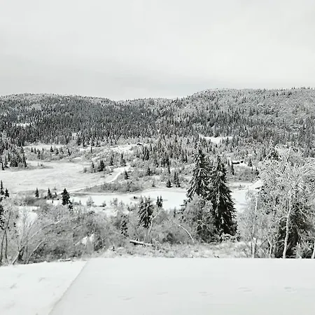 Fjellhytte Med Panoramautsikt Pa Liaasen I Valdres Reinli