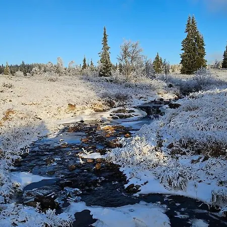 Fjellhytte Med Panoramautsikt Pa Liaasen I Valdres Semesterbostad