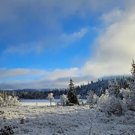 Fjellhytte Med Panoramautsikt Pa Liaasen I Valdres * Reinli